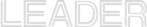 领导介绍
